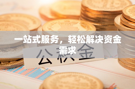 红星一站式服务，轻松解决资金需求